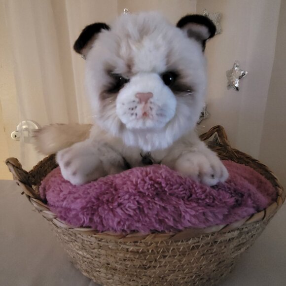 Taylor Swift " Cat Lady" inspired "KARMA" Plush Realistic Cat Gift Basket Bundle - Picture 2 of 6